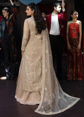 Asim Jofa Luxury Festive Embroidered Net 3 Piece Unstitched Suit AJ25LFD3 AJLLF-20